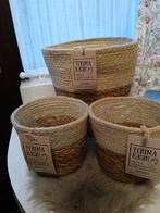 Drie nieuwe bloempotten van zeegras. Leuke set!!!, Tuin en Terras, Ophalen, Overige materialen, Rond, Minder dan 40 cm