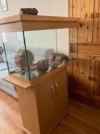hamsterkooi / terrarium, Kooi, Gebruikt, Hamster, 75 tot 110 cm