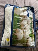 Nieuw Dekbed 140x220 cm - Aldi, Huis en Inrichting, Ophalen, Eenpersoons, Wit, Nieuw