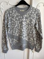 Zgan sweater trui merk Josh V maat S 36, Overige kleuren, Ophalen of Verzenden, Zo goed als nieuw, Maat 36 (S)