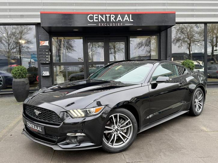 Ford Mustang Fastback 2.3 EcoBoost 310PK|Stoelkoeling/Verwar, Auto's, Ford, Bedrijf, Te koop, Mustang, ABS, Achteruitrijcamera
