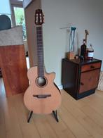 Takamine P3FCN semi accoustisch/klassiek (natural satin), Muziek en Instrumenten, Ophalen, Zo goed als nieuw, Klassieke of Spaanse gitaar