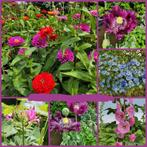 Bloemenzaden uit eigen tuin, Ophalen of Verzenden, Voorjaar, Volle zon, Zaad
