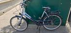 Prima on the road dames fiets lage instap
3 versnellingen, Fietsen en Brommers, Fietsen | Dames | Damesfietsen, Versnellingen