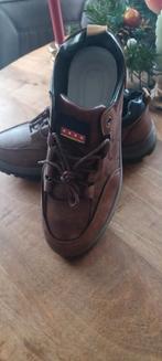 Heren schoenen maat 42 zie foto's, Ophalen of Verzenden, Nieuw