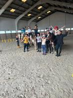 Meerdere bomproof pony’s beschikbaar, Merrie, Recreatiepony