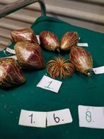 168 ] kerstballen dik glas, Ophalen of Verzenden