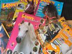 Penny Tijdschriften & Boeken - Paarden/Pony Verhalen, Boeken, Ophalen of Verzenden, Gelezen, Sport en Vrije tijd