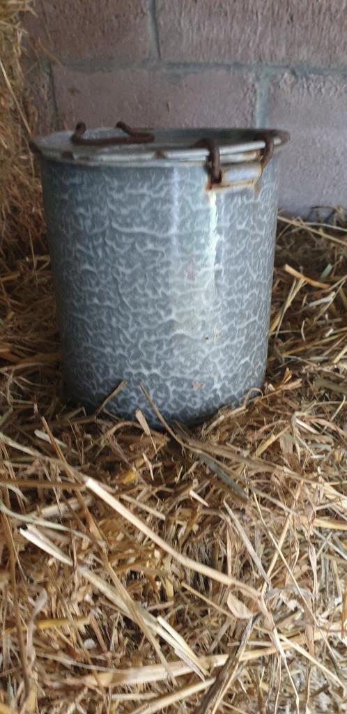 Grijsgewolkte bus, Antiek en Kunst, Antiek | Emaille, Ophalen of Verzenden