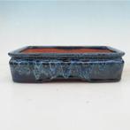 bonsaischaal 21.5x17x5.5cm nieuw en ongebruikt, Ophalen of Verzenden, Volle zon, Overige soorten, Minder dan 100 cm
