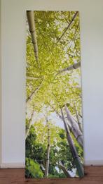 Grote canvas print schilderij bamboe groen 180x60cm, Ophalen