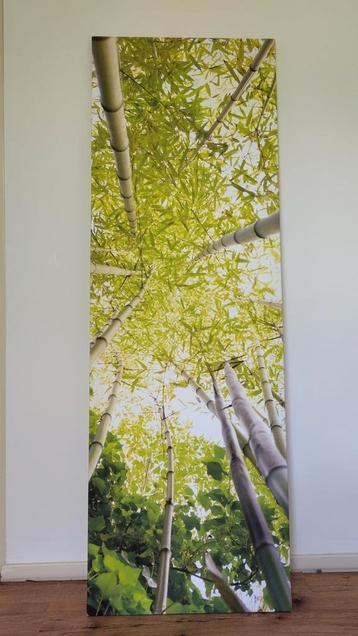 Grote canvas print schilderij bamboe groen 180x60cm beschikbaar voor biedingen