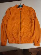 Oranje bomberjack, maat S, Oranje, Ophalen of Verzenden, Maat 36 (S), Onbekend