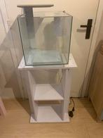 Superfish Qubiq 30 met meubel, Dieren en Toebehoren, Vissen | Aquaria en Toebehoren, Ophalen, Gebruikt, Leeg aquarium