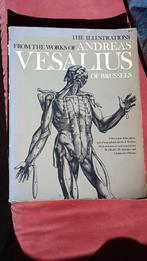 anatomieboek van Vesalius, Gelezen, Ophalen of Verzenden