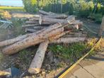 Haard houd, 3 tot 6 m³, Ophalen, Overige houtsoorten