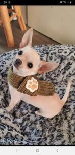 Chihuahua sjaaltjes, Dieren en Toebehoren, Ophalen of Verzenden, Nieuw, Hondensjaal