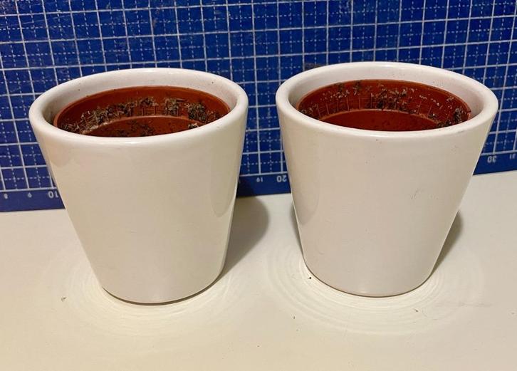 Kleine bloempotjes, wit, Tuin en Terras, Bloempotten, Zo goed als nieuw, Aardewerk, Binnen, Balkon, Minder dan 40 cm, Minder dan 25 cm