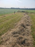 Ronde midi balen, Dieren en Toebehoren, Ophalen of Verzenden