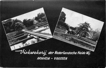 (377-639-033) Arnhem Viskwekerij Nederlandsche Heide M beschikbaar voor biedingen