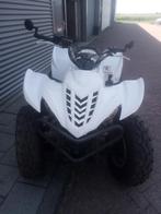 Yamaha wolverine 450, Motoren, Quads en Trikes, 450 cc, 1 cilinder, 12 t/m 35 kW