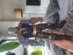 Avenger Marvel Thanos speelpop, Ophalen of Verzenden