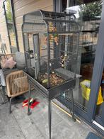 Leuke vogel kooi  compleet, Dieren en Toebehoren, Vogels | Hokken en Kooien, Ophalen of Verzenden, Zo goed als nieuw, Hout, Vogelkooi