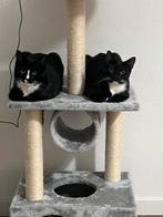 G, Dieren en Toebehoren