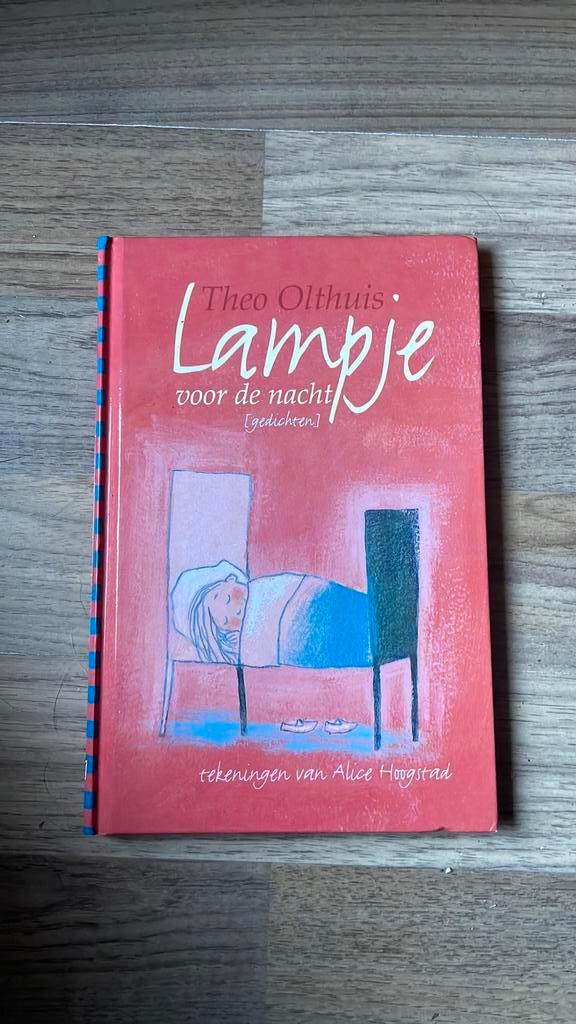 T. Olthuis - Een lampje voor de nacht, Boeken, Kinderboeken | Jeugd | 10 tot 12 jaar, Gelezen, Ophalen of Verzenden