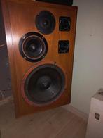 Sony SS-7300 ULM speakers, Ophalen, Gebruikt, 60 tot 120 watt, Sony