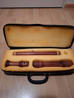 Dolmetsch Tenor Blokfluit, Muziek en Instrumenten, Ophalen of Verzenden, Gebruikt, Tenor, Met koffer, hoes of etui