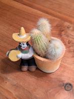 Cactussen in terracotta potje, Huis en Inrichting, Kamerplanten, Ophalen, Halfschaduw, Minder dan 100 cm