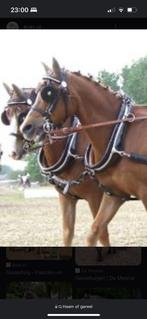 Gareel beugels., Dieren en Toebehoren, Ophalen of Verzenden, Nieuw, Overige soorten