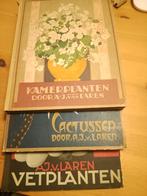 Oude boeken over kamerplanten, cactussen en vetplanten, Gelezen, A.J. van Laren, Ophalen of Verzenden, Overige onderwerpen