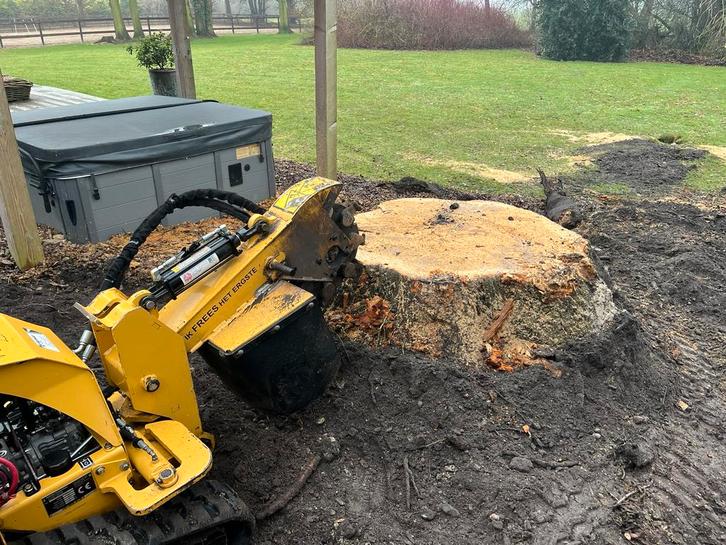 Stobbenfrees stronken frezen stobben verwijderen, Diensten en Vakmensen, Tuinmannen en Stratenmakers, Bestrating, Hekwerk of Schuttingen
