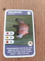 Ah vogelbekdier, Ophalen of Verzenden, Zo goed als nieuw