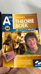 Theorieboek, Ophalen of Verzenden, Zo goed als nieuw, Overige niveaus, Nederlands
