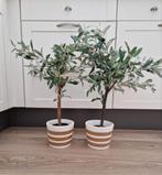 Leuke kunst olijfboompjes., Nieuw, Ophalen of Verzenden