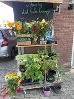 Courgette, wineberry, tomaten, thee, verse bloemen, kraampje, Ophalen, Minder dan 100 cm, Appelboom, Zomer