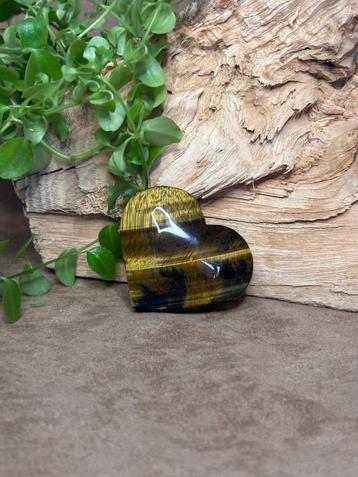 Tijgeroog hart beschikbaar voor biedingen