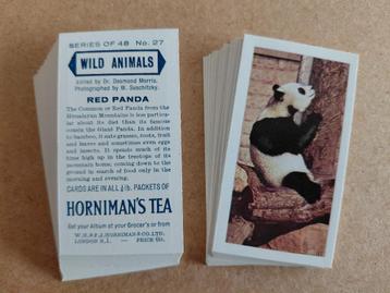 Wild Animals complete set 48 tea cards 1958 Horniman's Tea beschikbaar voor biedingen