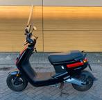 Elektrische Scooter NIU MQi+ Sport - 45 km/u, Fietsen en Brommers, Elektrisch, Zo goed als nieuw, Ophalen, Overige merken
