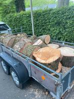 Aanhanger met eiken blokken gratis thuisbezorgd, Tuin en Terras, Haardhout, Minder dan 3 m³, Ophalen of Verzenden, Blokken