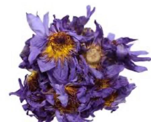 Blue lotus hele bloem 50 gram 22.22, Sport en Fitness, Gezondheidsproducten en Wellness, Nieuw, Poeder of Drank, Ophalen of Verzenden