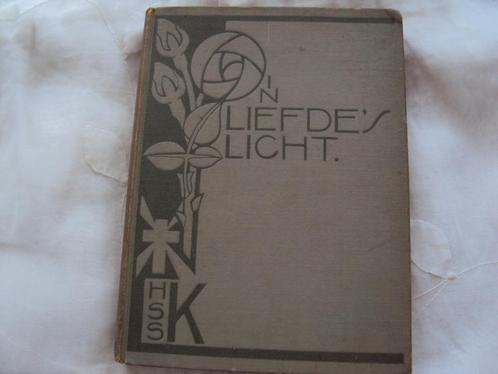 In liefde's licht, Boeken, Romans, Gelezen, Nederland, Ophalen of Verzenden