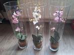 3 vazen met kunst orchideeën - 50cm hoog, Ophalen, Gebruikt, Overige kleuren, 50 tot 75 cm