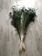 Prachtige bos lange pauwenveren, Huis en Inrichting, Woonaccessoires | Droogbloemen, Ophalen, Nieuw