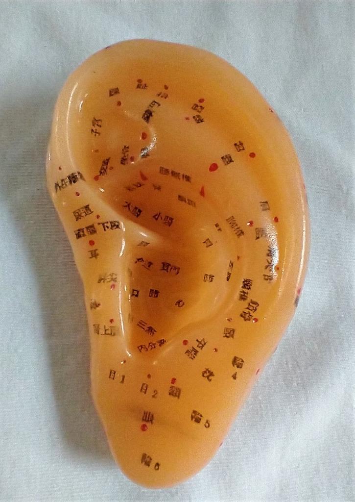 Chinees acupunctuur oor, Verzamelen, Overige Verzamelen, Nieuw, Ophalen of Verzenden