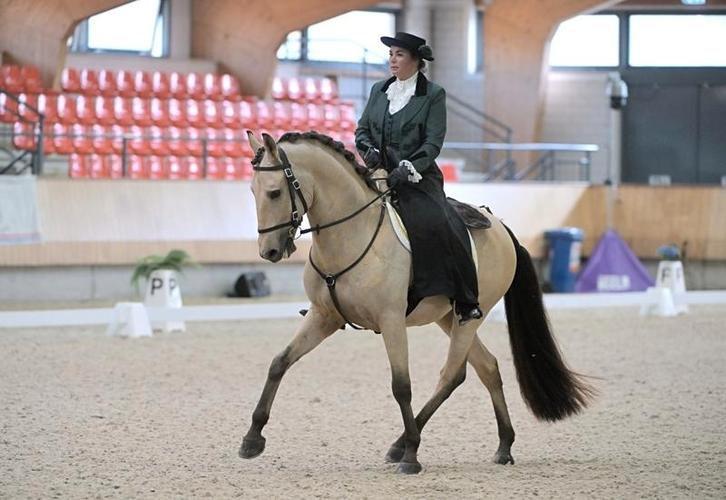 Traditionele Portugese rijbroek - show - keuring - WE, Dieren en Toebehoren, Paardrijkleding, Zo goed als nieuw, Onderkleding