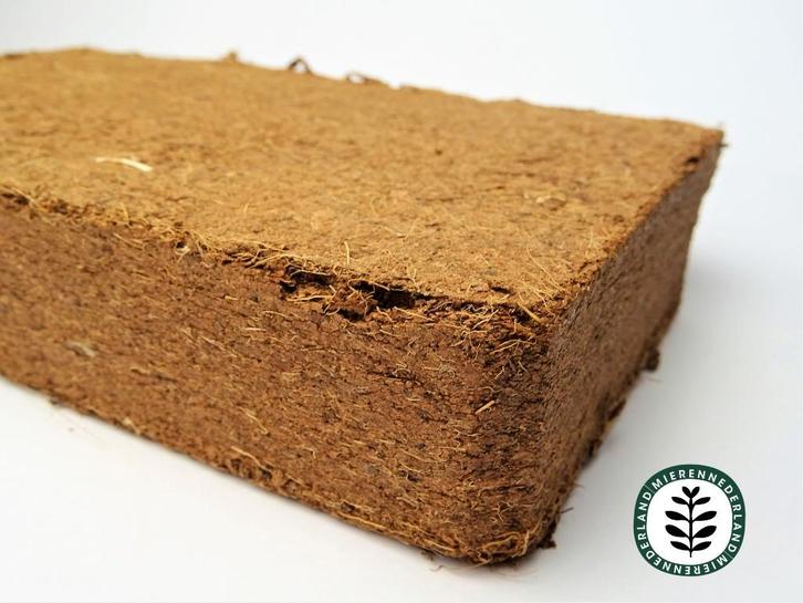 Kokos humus | Cocopeat (10liter) terrarium mieren houden, Dieren en Toebehoren, Insecten en Spinnen, Mieren